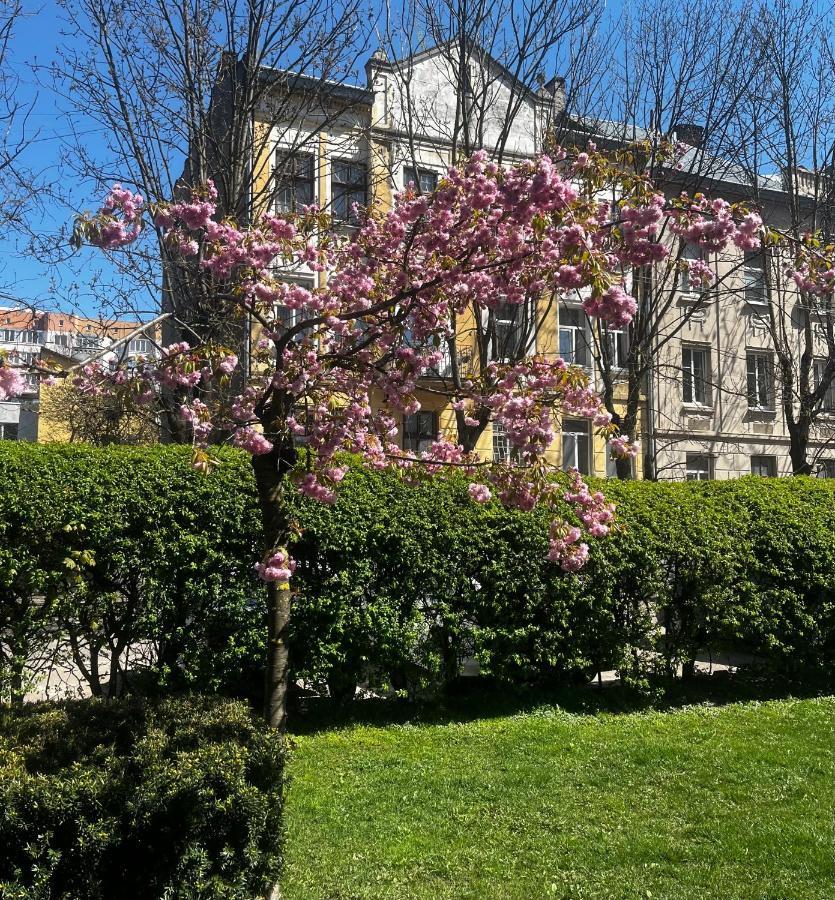 Apartment Iren Smart Lviv